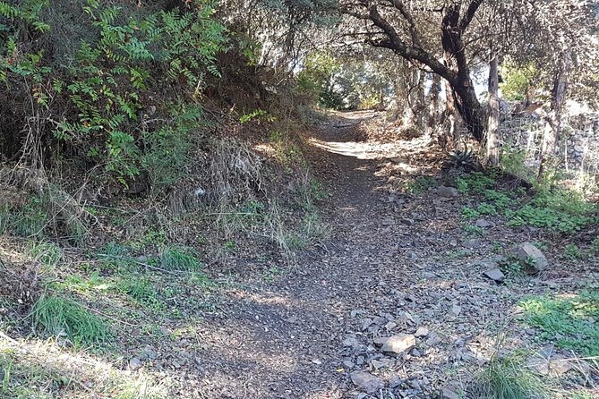 Waterfalls Near the Blue Village of Juzcár - Inclusions for the Waterfall Tour