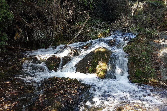 Waterfalls Near the Blue Village of Juzcár - Expectations and Requirements for the Tour
