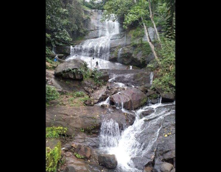 Waterfalls of Athirapply or Areekal Tour for 1 to 8 People. - Tour Details