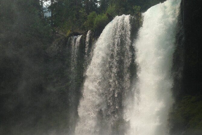 Waterfalls & the McKenzie River in a Tesla - Good To Know
