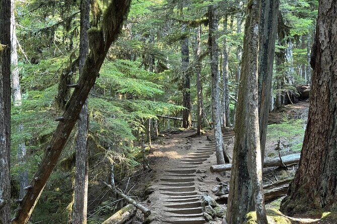 Waterfalls & the McKenzie River in a Tesla - Practical Details & What to Expect