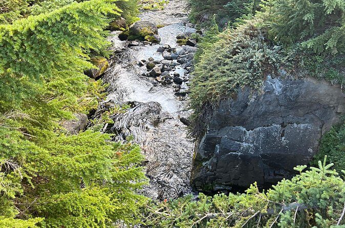 Waterfalls & the McKenzie River in a Tesla - Authentic Experiences & Hidden Gems