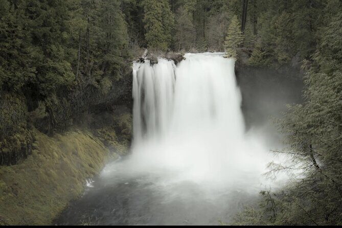 Waterfalls & the McKenzie River in a Tesla - Who Is This Tour Best Suited For?