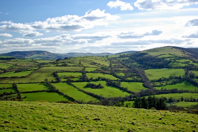 Waterford Crystal and Kilkenny Rail Tour From Dublin - Positive Reviews About the Tour Guide
