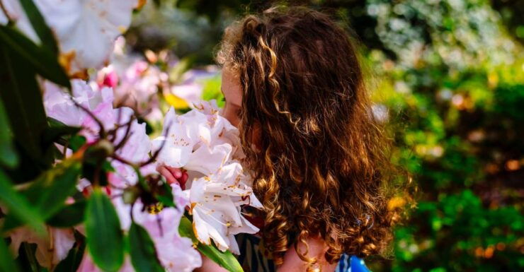 Waterford: Mount Congreve Gardens Entry Ticket - Cancellation and Booking Information
