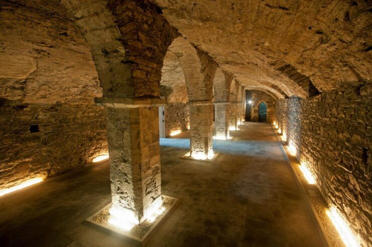 Waterford Treasures: Medieval Museum Entry Ticket - Museum Overview