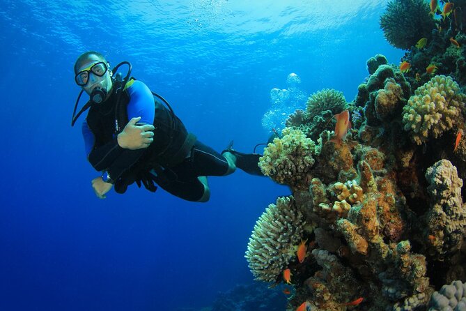 Watersports Activities, Fishing and Scuba Diving in Falmouth - Cancellation and Weather Policy
