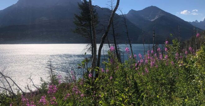 Waterton Lakes National Park: Bertha Lake Hike - Guided Experience