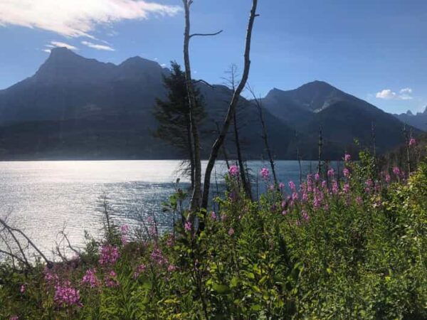 Waterton Lakes National Park: Bertha Lake Hike - Safety and Emergency Preparedness