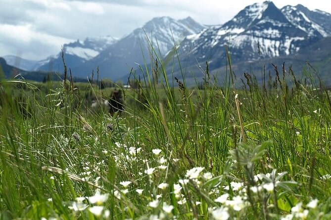 Waterton Lakes National Park Private Exclusive Tour - Traveler Photos