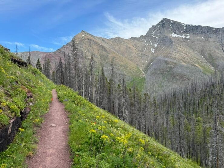 Waterton Lakes National Park: Upper Rowe Lakes Hike - Booking and Payment Information