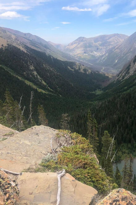 Waterton Lakes National Park: Upper Rowe Lakes Hike - Wildlife and Vegetation Encounters