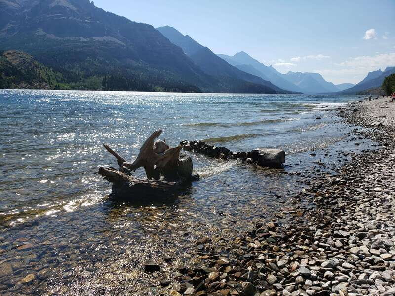 Waterton National Park Full-Day Private Tour From Calgary - What Travellers Should Know Before Booking