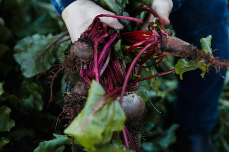 Watervale Hotel : 2-Course Dining Experience with Riesling - Final Thoughts