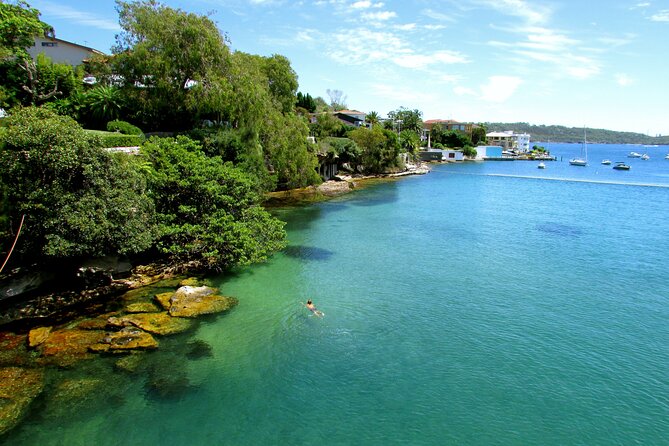Watsons Bay Walking Tour and Surf Lesson at Bondi Beach - Bondi Beach Surf Lesson