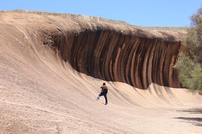 Wave Rock Half Day Air & Ground Tour - Tour Details and Highlights