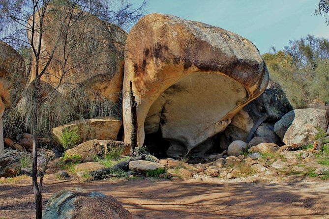 Wave Rock Half Day Air & Ground Tour - Reviews and Ratings