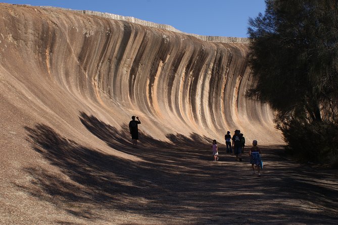 Wave Rock, Pinnacles and Rottnest One Day Aeroplane Tour - Tour Highlights