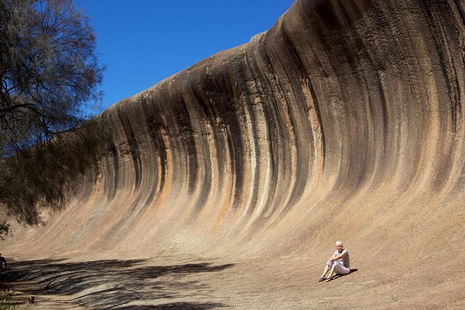 Wave Rock, York, Wildflowers, and Aboriginal Cultural Day Tour From Perth - Tour Experience