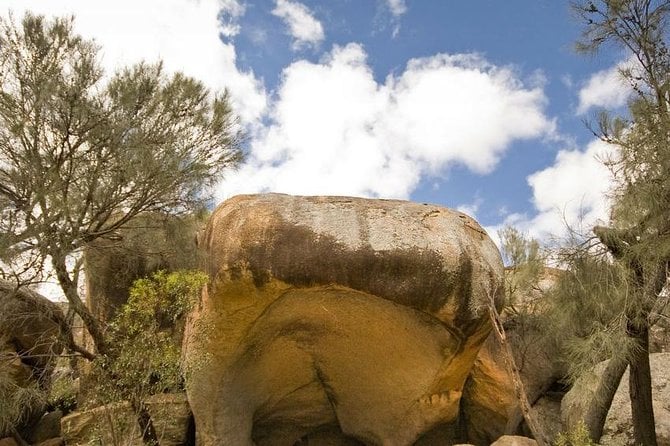 Wave Rock, York, Wildflowers, and Aboriginal Cultural Day Tour From Perth - Wave Rock Exploration