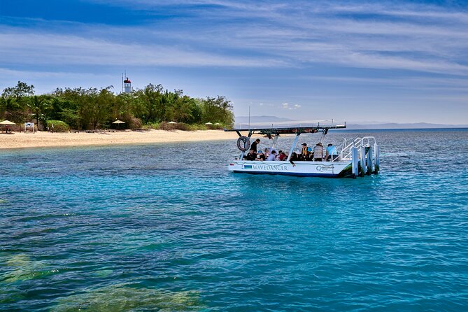 Wavedancer Low Isles Great Barrier Reef Sailing Cruise From Palm Cove - Experience Highlights