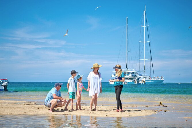 Wavedancer Low Isles Great Barrier Reef Sailing Cruise From Palm Cove - Sailing Catamaran and Amenities