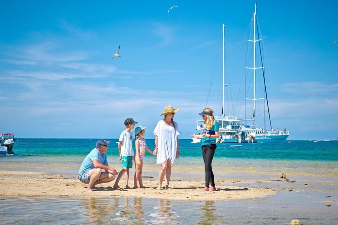 Wavedancer Low Isles Great Barrier Reef Sailing Cruise From Palm Cove - Guided Activities and Nature Walk