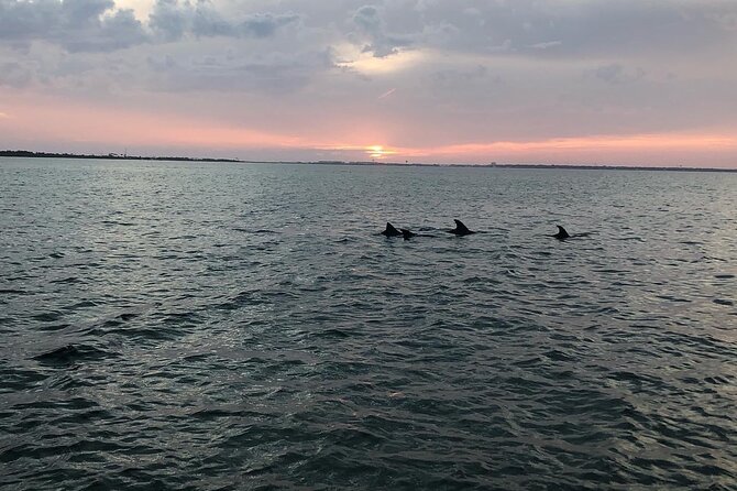 Waverunner Dolphin Tour - Cancellation Policy