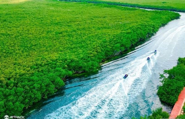Waverunner Mangrove Guided Tour Jetpack Adventures - Cancellation Policy