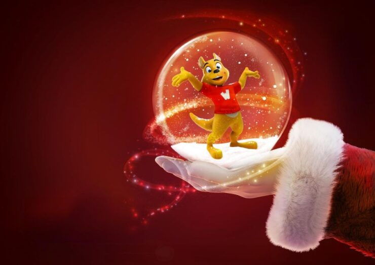 Wavre: Walibi Belgium Winter Entry Ticket - Experience at Walibi Belgium Winter