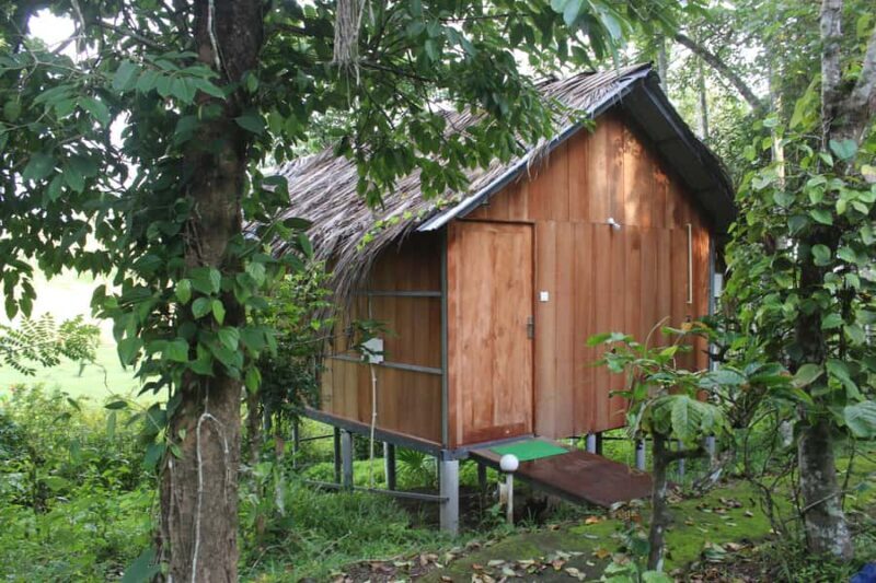 Wayanad: 2-Day Forest and Tribal Experience with Meals - Introduction: A Genuine Wayanad Encounter