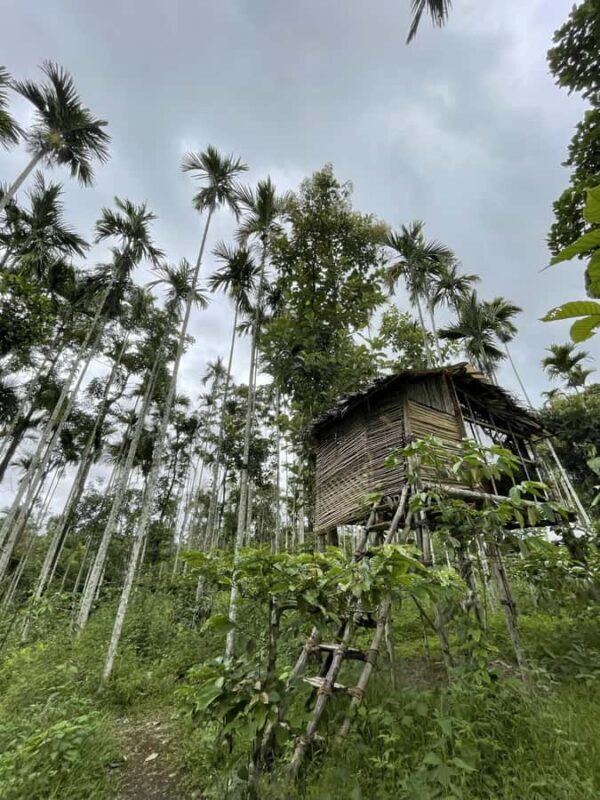 Wayanad: 2-Day Forest and Tribal Experience with Meals - The Experience Quality and Value