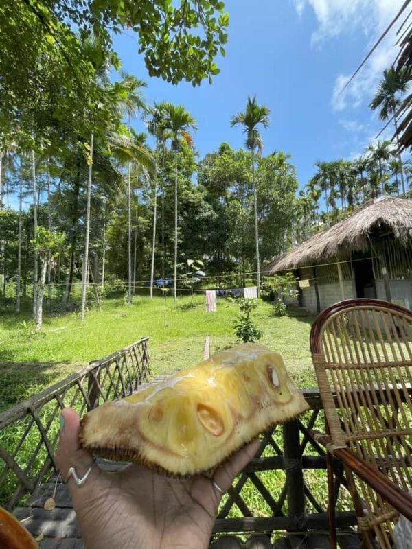 Wayanad: 2-Day Forest and Tribal Experience with Meals - Exploring the Heart of Wayanad: A Balance of Nature and Culture