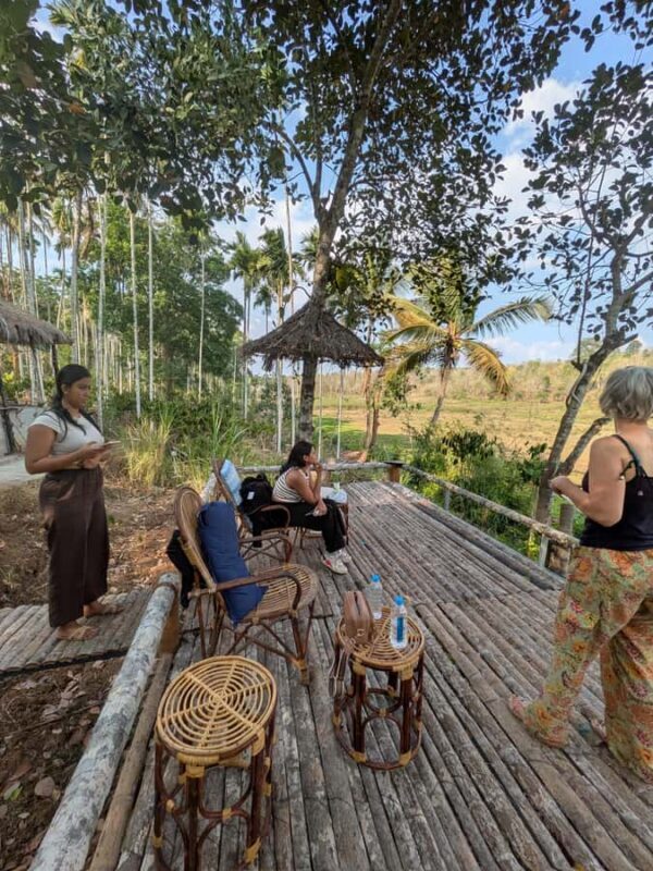 Wayanad: 2-Day Forest and Tribal Experience with Meals - The Sum Up