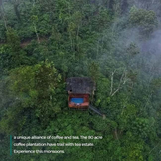 Wayanad: 2-Day Tour with Sightseeing and Accommodation - Exploring the 2-Day Wayanad Tour