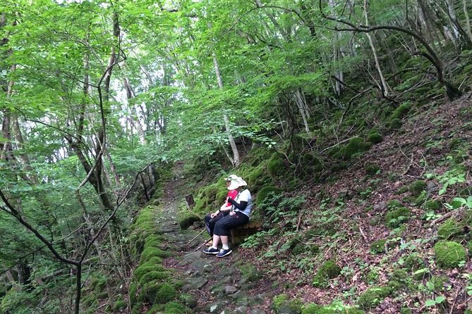 WE LOVE SHINRIN-YOKU Tour (1-Day) - Train Schedule and Scenic Views