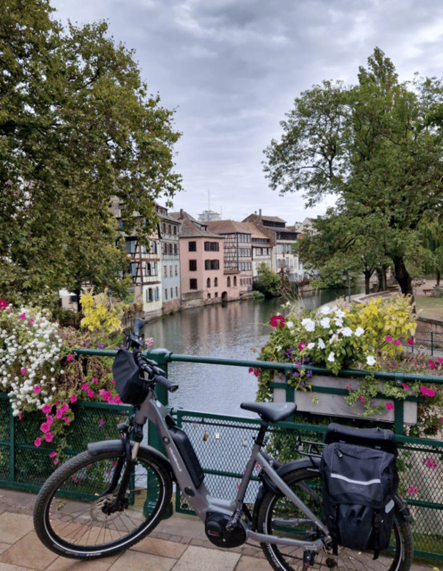 We Put Strasbourg in a Bottle - Key Points