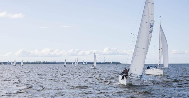 Wednesday Regatta with harbour tour - Good To Know