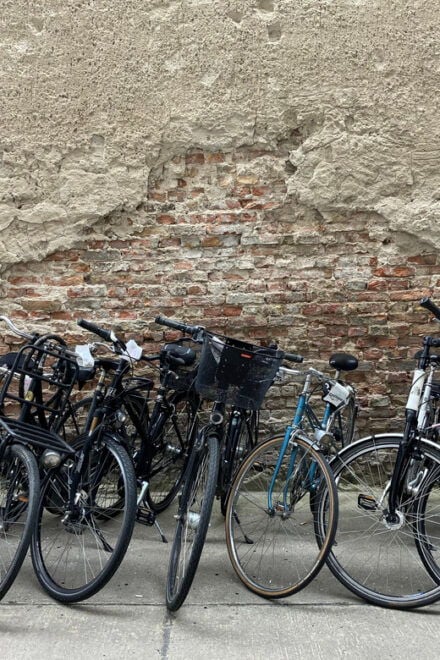 Weekend Bike Rental - Customizing Your Experience