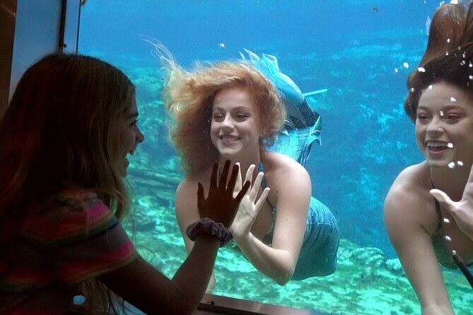 Weeki Wachee kayaking - What Is Weeki Wachee Kayaking All About?