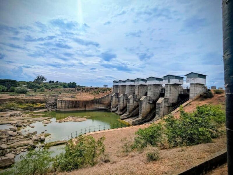 Weheragala National Park: Jeep Safari Tour - Who Is This Tour Best For?