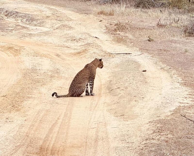 Weheragala National Park: Jeep Safari Tour - Final Thoughts