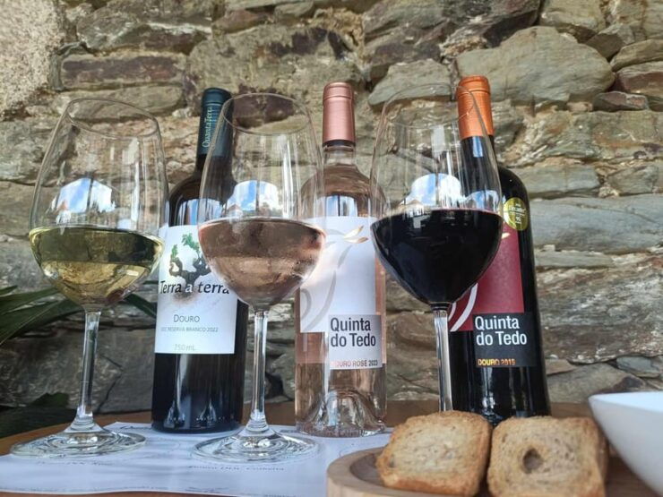 Weight of the Ruler: Wine Tastings & Snacks Atelier Du Porto-Douro - Good To Know