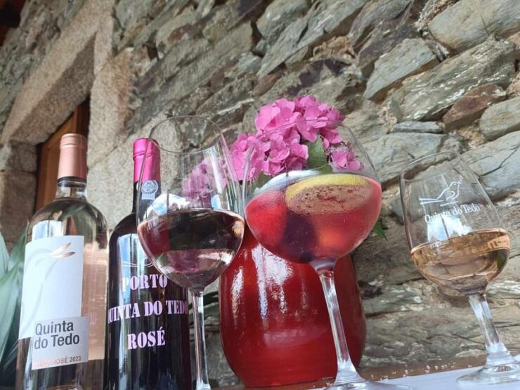 Weight of the Ruler: Wine Tastings & Snacks Atelier Du Porto-Douro - Wine Tasting Details