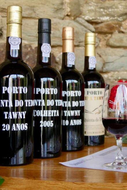 Weight of the Ruler: Wine Tastings & Snacks Atelier Du Porto-Douro - Host and Language Options