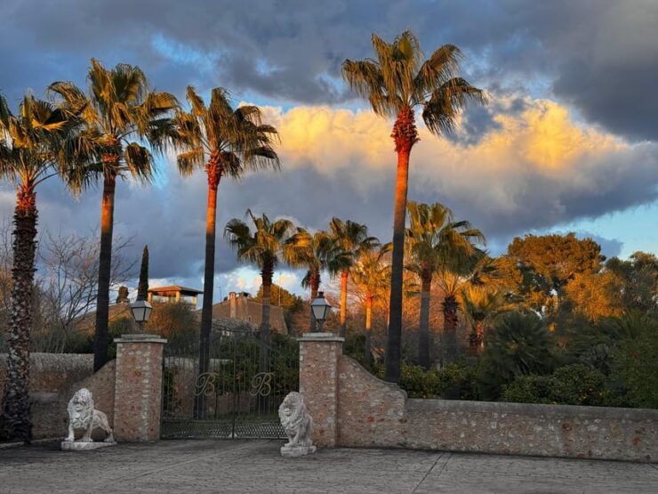 Weinsonntag in Mallorca Translates to "Wine Sunday in Mallorca." - Good To Know