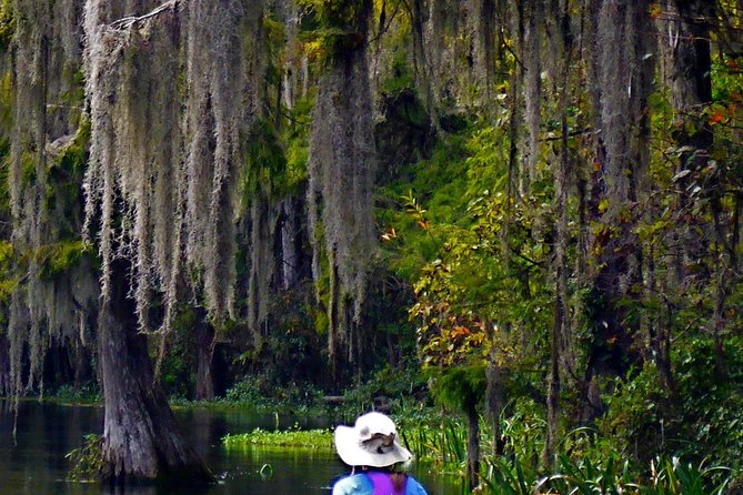 Wekiva River Guided Kayak Tour - What To Expect
