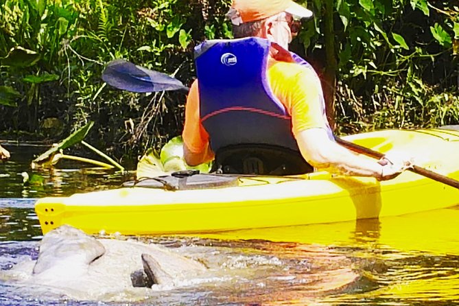 Wekiva River Guided Kayak Tour - Additional Information