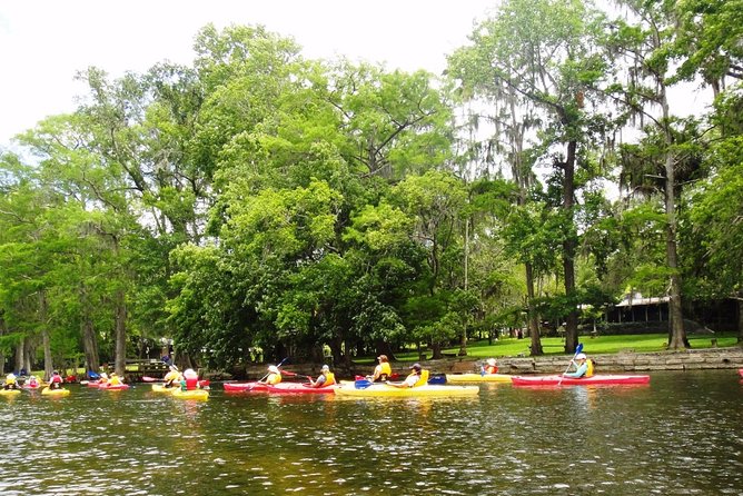 Wekiva River Guided Kayak Tour - Reviews and Traveler Experiences