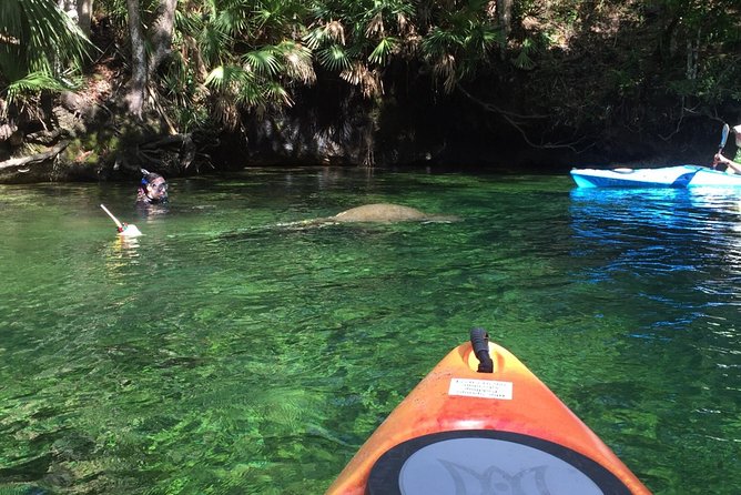 Wekiva River Guided Kayak Tour - Directions